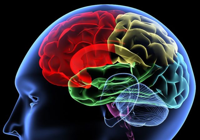 Cerebro en expansión Blank Meme Template