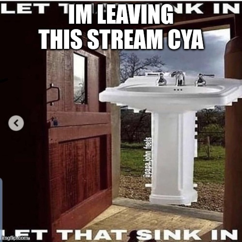 Let that sink in | IM LEAVING THIS STREAM CYA | image tagged in let that sink in | made w/ Imgflip meme maker