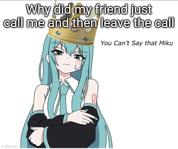 Istg | Why did my friend just call me and then leave the call | image tagged in you cant say that miku | made w/ Imgflip meme maker