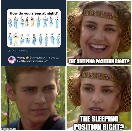 THE SLEEPING POSITION RIGHT? | THE SLEEPING POSITION RIGHT? THE SLEEPING POSITION RIGHT? | image tagged in i m going to change the world for the better right star wars | made w/ Imgflip meme maker