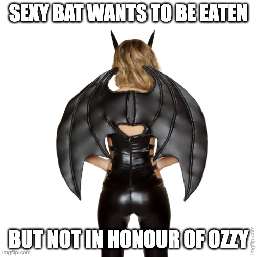 sexy bat wants to be eaten | SEXY BAT WANTS TO BE EATEN; BUT NOT IN HONOUR OF OZZY | image tagged in ozzy osbourne,ozzy,sexy,bat | made w/ Imgflip meme maker
