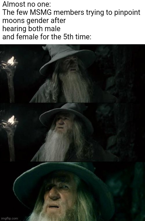 It's not just me | Almost no one:

The few MSMG members trying to pinpoint moons gender after hearing both male and female for the 5th time: | image tagged in memes,confused gandalf | made w/ Imgflip meme maker