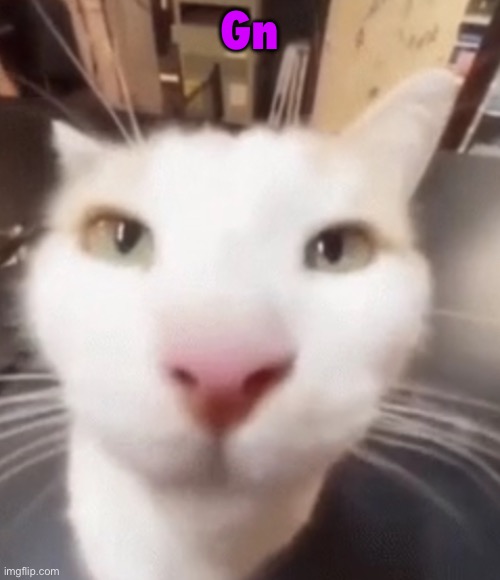 The stare | Gn | image tagged in the stare | made w/ Imgflip meme maker