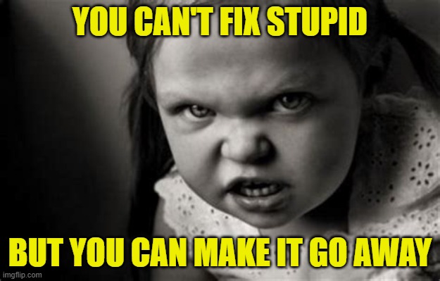Alice Malice | YOU CAN'T FIX STUPID; BUT YOU CAN MAKE IT GO AWAY | image tagged in alice malice,stupidity | made w/ Imgflip meme maker