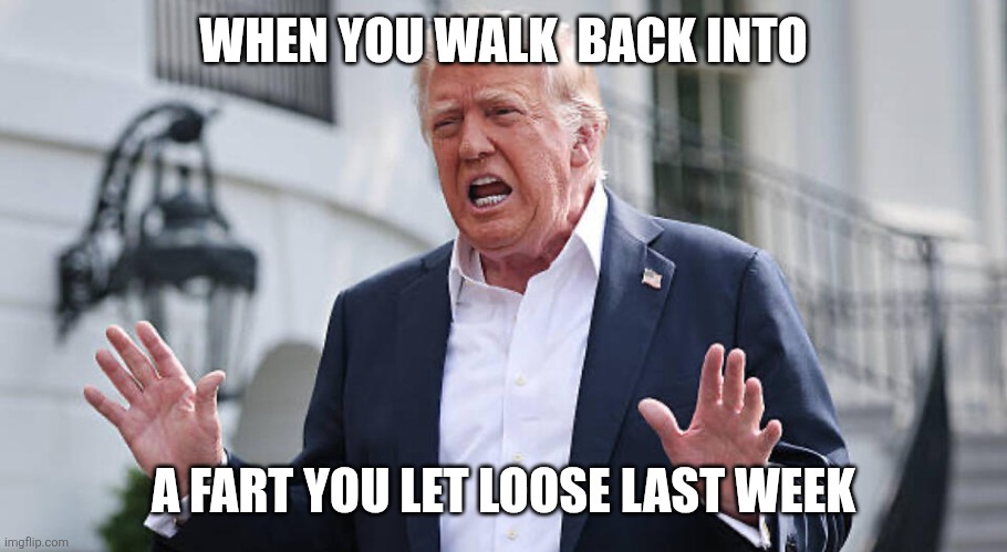 Deja Poo | WHEN YOU WALK  BACK INTO; A FART YOU LET LOOSE LAST WEEK | image tagged in trump putin | made w/ Imgflip meme maker