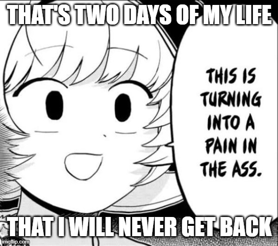 Time I'll never get back | THAT'S TWO DAYS OF MY LIFE; THAT I WILL NEVER GET BACK | image tagged in this is turning into a pain | made w/ Imgflip meme maker