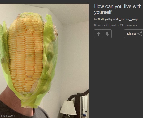 How corn you live with yourself | image tagged in thp how can you live with yourself | made w/ Imgflip meme maker