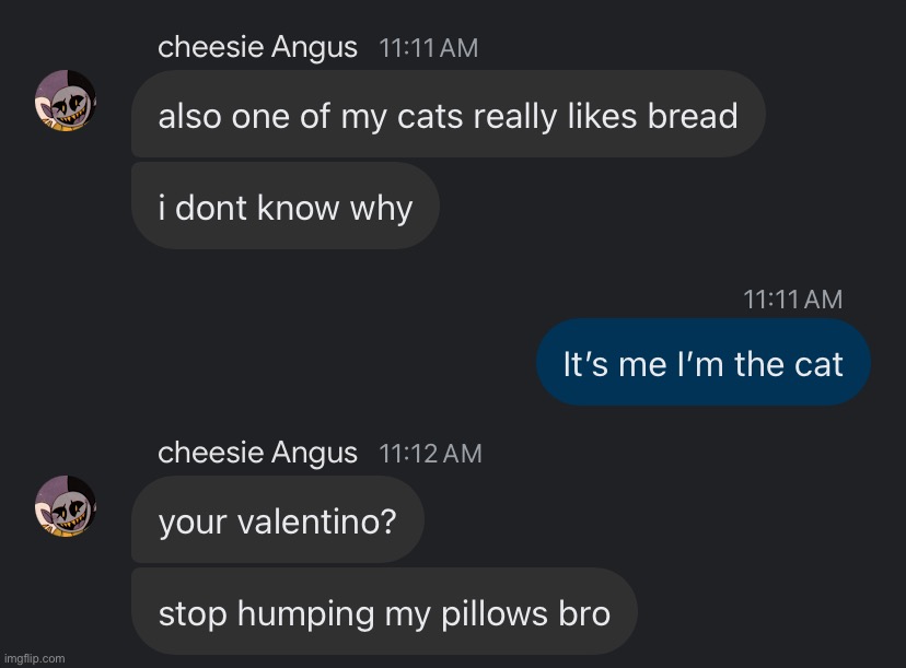 Idk smth dumb I did today (no you don’t get to know how the rest of the convo went) | made w/ Imgflip meme maker