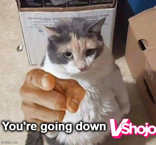 you're going down | You're going down | image tagged in vshojo,meme,cat | made w/ Imgflip meme maker