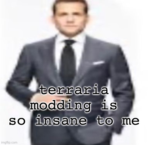 won’t be explaining | terraria modding is so insane to me | image tagged in man | made w/ Imgflip meme maker