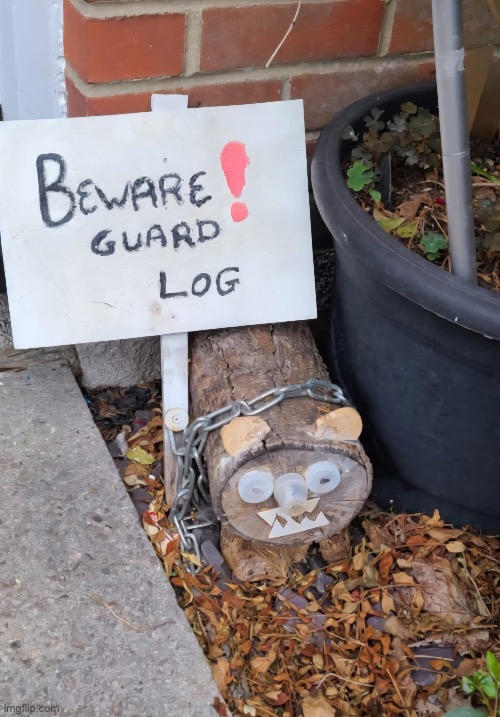 Guard what? Does this count? | image tagged in guard,dog,log | made w/ Imgflip meme maker