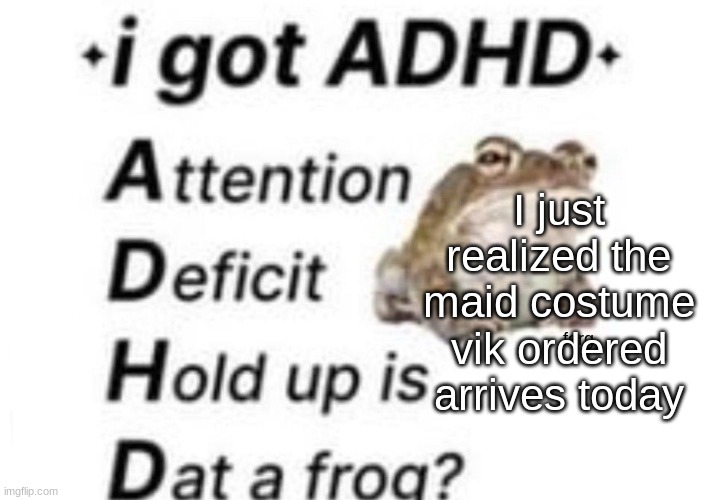 is dat a forg??? ?? | I just realized the maid costume vik ordered arrives today | image tagged in is dat a forg | made w/ Imgflip meme maker