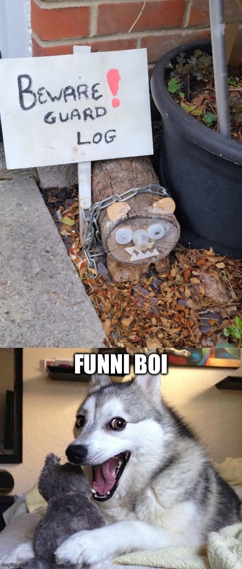 I wooden risk it | FUNNI BOI | image tagged in memes,bad pun dog,guard,dog,log,dad joke | made w/ Imgflip meme maker