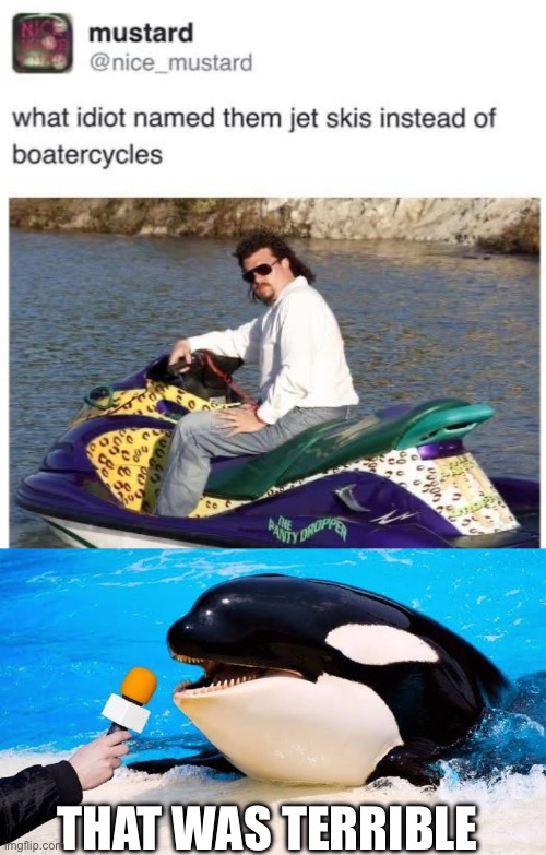 Boatercycles | THAT WAS TERRIBLE | image tagged in orca talking into a microphone,boat,jet,skiing | made w/ Imgflip meme maker