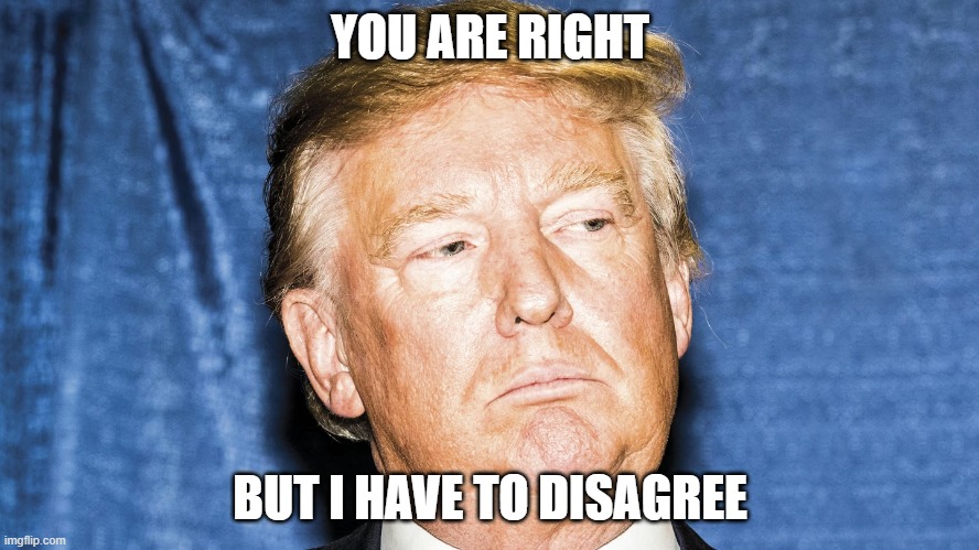 You are right but disagree look | YOU ARE RIGHT; BUT I HAVE TO DISAGREE | image tagged in disappointment,disagree | made w/ Imgflip meme maker