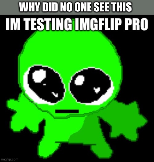 WHY DID NO ONE SEE THIS | image tagged in le sans pro de topic pro | made w/ Imgflip meme maker