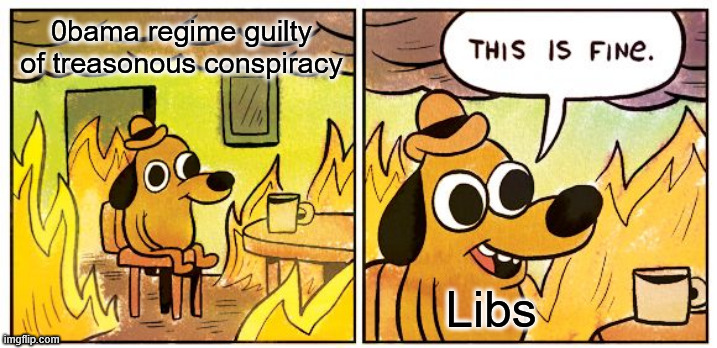 This Is Fine Meme | 0bama regime guilty of treasonous conspiracy Libs | image tagged in memes,this is fine | made w/ Imgflip meme maker