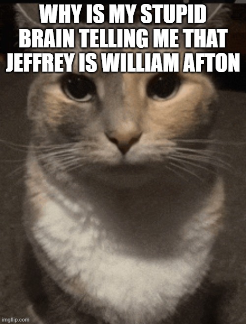 game theory | WHY IS MY STUPID BRAIN TELLING ME THAT JEFFREY IS WILLIAM AFTON | image tagged in cat dead stare | made w/ Imgflip meme maker