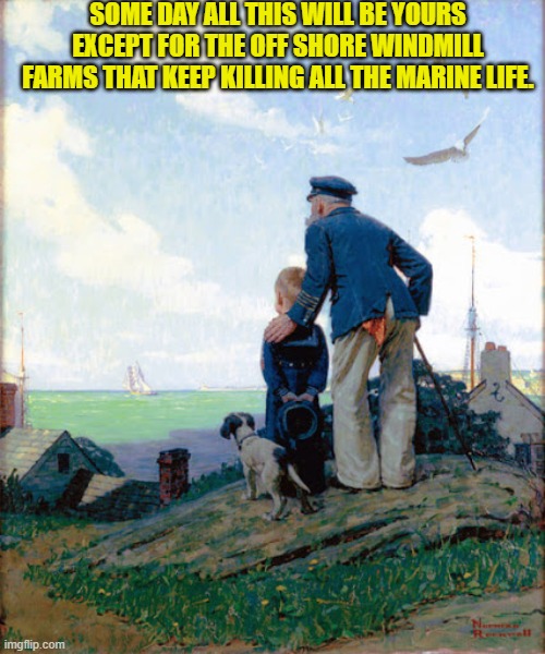 Al leftist dream Utopia by any other name. | SOME DAY ALL THIS WILL BE YOURS EXCEPT FOR THE OFF SHORE WINDMILL FARMS THAT KEEP KILLING ALL THE MARINE LIFE. | image tagged in yep | made w/ Imgflip meme maker