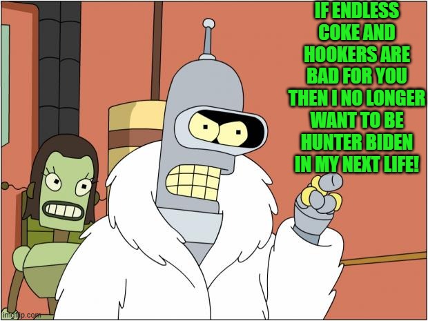 When robots/leftists get disillusioned. | IF ENDLESS COKE AND HOOKERS ARE BAD FOR YOU THEN I NO LONGER WANT TO BE HUNTER BIDEN IN MY NEXT LIFE! | image tagged in bender | made w/ Imgflip meme maker