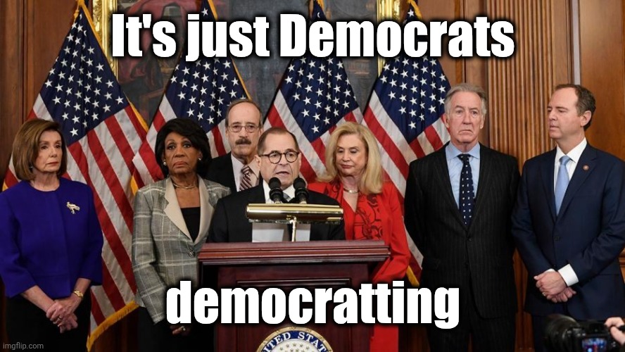 House Democrats | It's just Democrats democratting | image tagged in house democrats | made w/ Imgflip meme maker