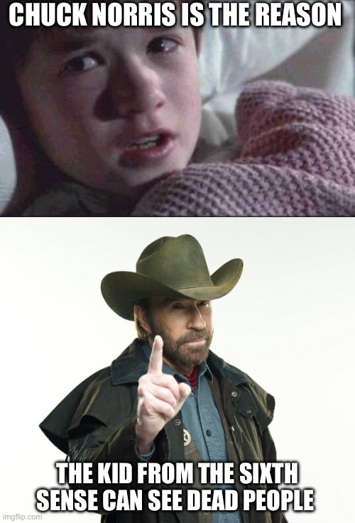 CHUCK NORRIS IS THE REASON; THE KID FROM THE SIXTH SENSE CAN SEE DEAD PEOPLE | image tagged in memes,i see dead people,chuck norris finger | made w/ Imgflip meme maker
