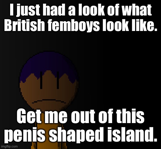 brother | I just had a look of what British femboys look like. Get me out of this penis shaped island. | image tagged in brother | made w/ Imgflip meme maker