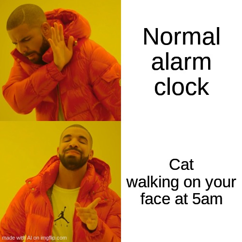 Drake Hotline Bling | Normal alarm clock; Cat walking on your face at 5am | image tagged in memes,drake hotline bling | made w/ Imgflip meme maker