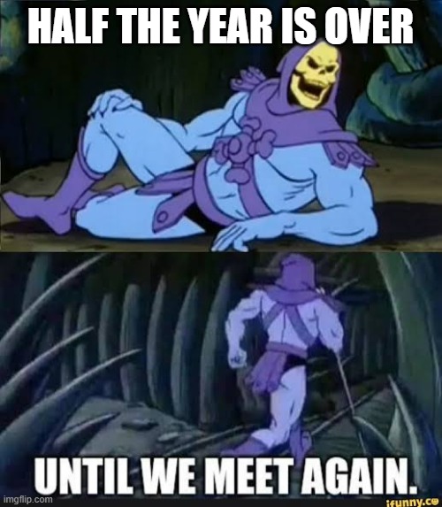 Until we meet again | HALF THE YEAR IS OVER | image tagged in until we meet again | made w/ Imgflip meme maker
