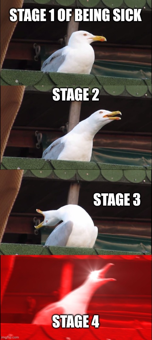 Stages of Sick | STAGE 1 OF BEING SICK; STAGE 2; STAGE 3; STAGE 4 | image tagged in memes,inhaling seagull,sickdays | made w/ Imgflip meme maker