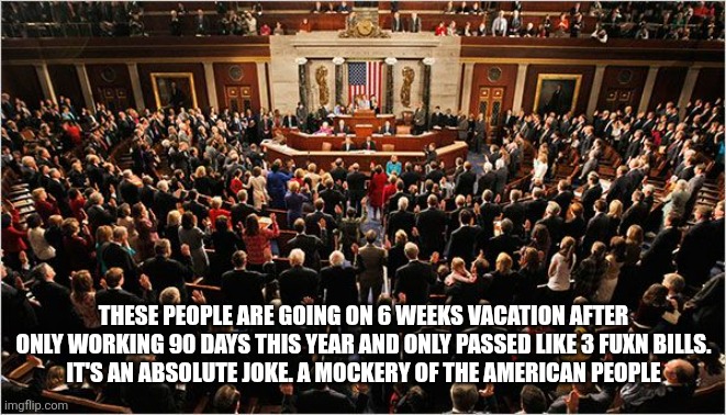 Congress | THESE PEOPLE ARE GOING ON 6 WEEKS VACATION AFTER ONLY WORKING 90 DAYS THIS YEAR AND ONLY PASSED LIKE 3 FUXN BILLS.
IT'S AN ABSOLUTE JOKE. A MOCKERY OF THE AMERICAN PEOPLE | image tagged in congress,funny memes | made w/ Imgflip meme maker