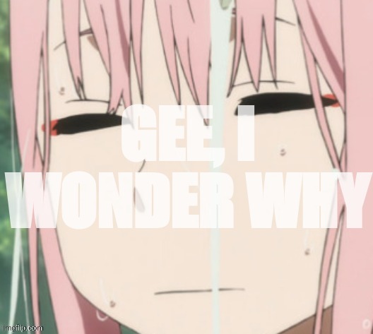 gee i wonder why | image tagged in gee i wonder why | made w/ Imgflip meme maker