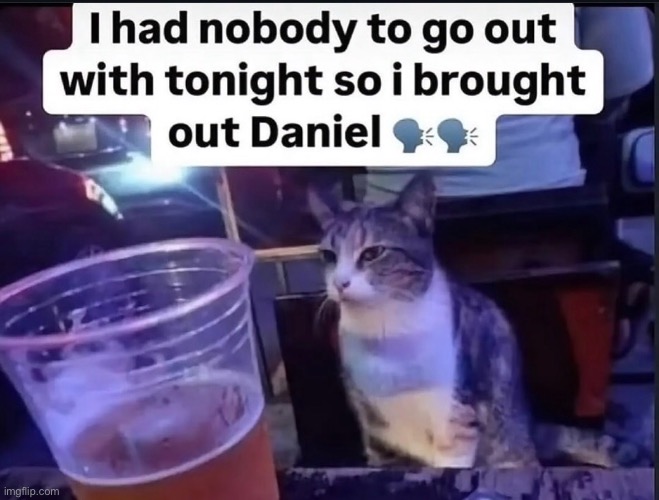 daniel the cat | made w/ Imgflip meme maker