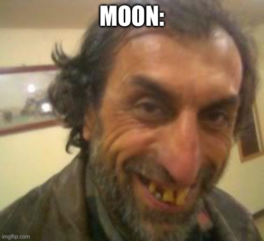 Ugly Guy | MOON: | image tagged in ugly guy | made w/ Imgflip meme maker
