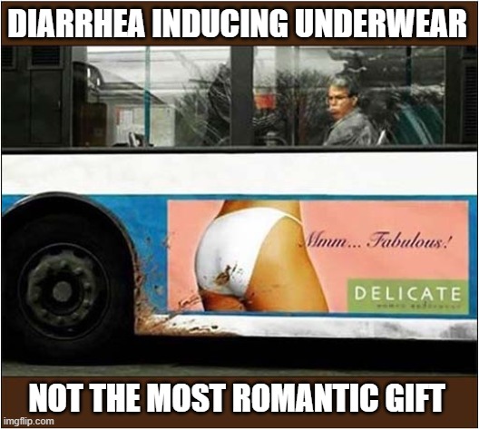 How About No ? | DIARRHEA INDUCING UNDERWEAR; NOT THE MOST ROMANTIC GIFT | image tagged in how about no,diarrhea,underwear,dark humour | made w/ Imgflip meme maker