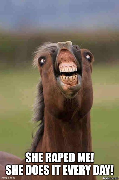 horse face | SHE RAPED ME! SHE DOES IT EVERY DAY! | image tagged in horse face | made w/ Imgflip meme maker