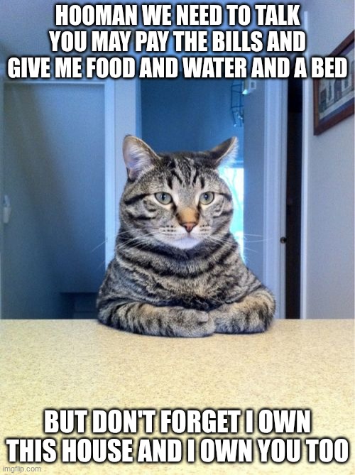 house owner | HOOMAN WE NEED TO TALK YOU MAY PAY THE BILLS AND GIVE ME FOOD AND WATER AND A BED; BUT DON'T FORGET I OWN THIS HOUSE AND I OWN YOU TOO | image tagged in memes,take a seat cat | made w/ Imgflip meme maker