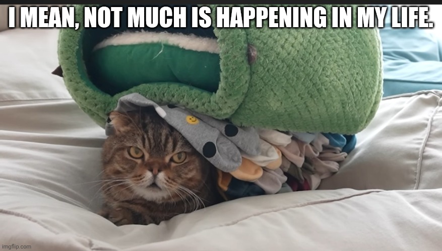 eh its not much | I MEAN, NOT MUCH IS HAPPENING IN MY LIFE. | image tagged in eh its not much | made w/ Imgflip meme maker