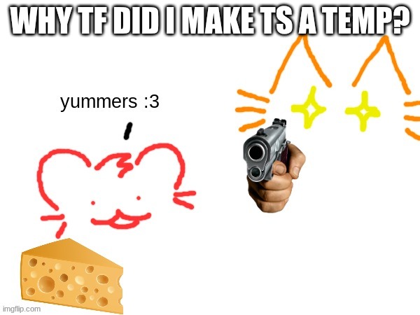 holy waste of a temp that will never be used | WHY TF DID I MAKE TS A TEMP? | image tagged in burgercat is not happy | made w/ Imgflip meme maker