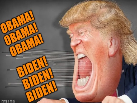 Deflect, Deflect, Deflect. Imagine supporting a loser who is incapable of nothing but projection? Besides maga. | image tagged in donald trump,maga,projection,definition,conspiracies,epstein | made w/ Imgflip meme maker