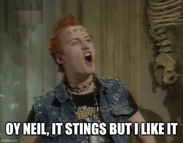 Vyvyan Young Ones | OY NEIL, IT STINGS BUT I LIKE IT | image tagged in vyvyan young ones | made w/ Imgflip meme maker