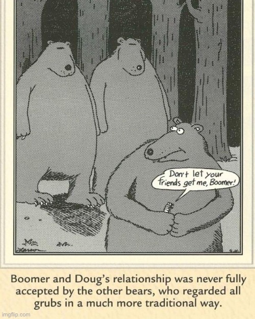 The Far Side | image tagged in comics,the far side,bears | made w/ Imgflip meme maker