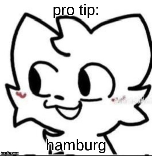 boykisser | pro tip:; hamburg | image tagged in boykisser | made w/ Imgflip meme maker