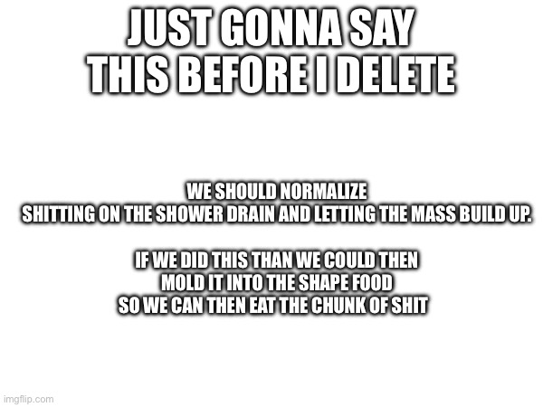 Gonna delete in a couple days, just wanted to share my thoughts | JUST GONNA SAY THIS BEFORE I DELETE; WE SHOULD NORMALIZE SHITTING ON THE SHOWER DRAIN AND LETTING THE MASS BUILD UP.
 
IF WE DID THIS THAN WE COULD THEN MOLD IT INTO THE SHAPE FOOD SO WE CAN THEN EAT THE CHUNK OF SHIT | made w/ Imgflip meme maker