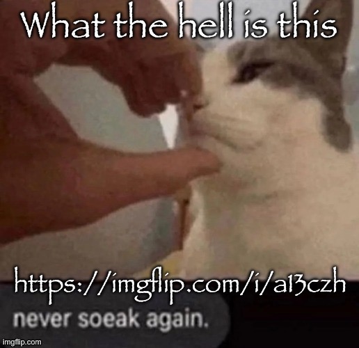 Mankind is actually fucked | What the hell is this; https://imgflip.com/i/a13czh | image tagged in never soeak again | made w/ Imgflip meme maker