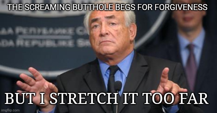 dsk j'encule qui | THE SCREAMING BUTTHOLE BEGS FOR FORGIVENESS; BUT I STRETCH IT TOO FAR | image tagged in dsk j'encule qui | made w/ Imgflip meme maker