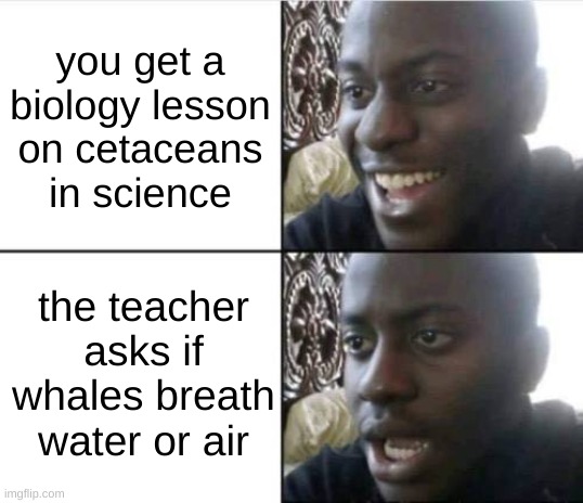 This literally happens so much, do kids these days not watch documentaries or study creatures they like for fun? | you get a biology lesson on cetaceans in science; the teacher asks if whales breath water or air | image tagged in good then bad | made w/ Imgflip meme maker