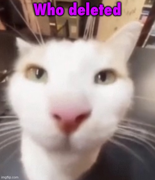 Someone deleted and I can’t find out who | Who deleted | image tagged in the stare | made w/ Imgflip meme maker