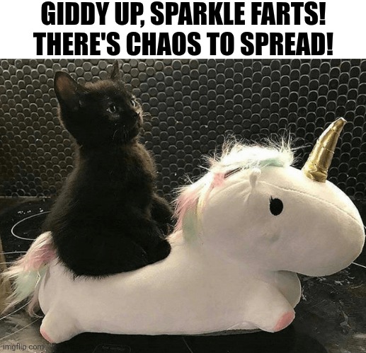 Giddy Up, Sparkle Farts! There's Chaos To Spread! | GIDDY UP, SPARKLE FARTS! THERE'S CHAOS TO SPREAD! | image tagged in chrisjoines1 | made w/ Imgflip meme maker