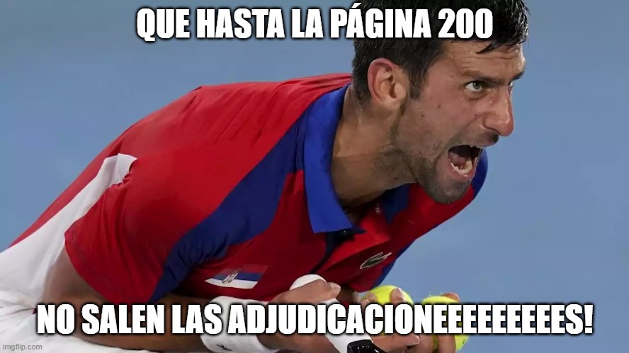 Djokovic screaming | QUE HASTA LA PÁGINA 200; NO SALEN LAS ADJUDICACIONEEEEEEEEES! | image tagged in djokovic screaming | made w/ Imgflip meme maker
